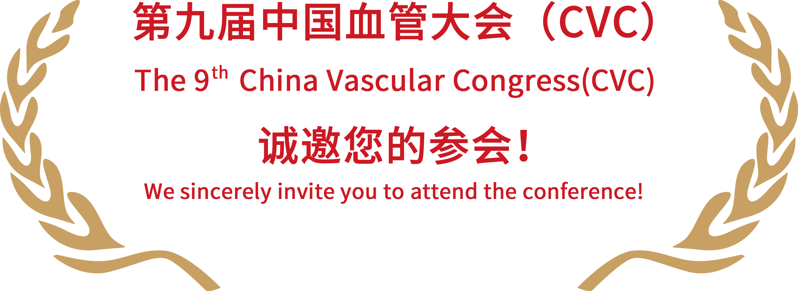 第十届中国血管大会(CVC 2025)